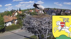 IMG_9540.jpeg