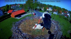 IMG_9713.jpeg