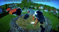 IMG_9717.jpeg