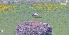 IMG_9657.jpeg