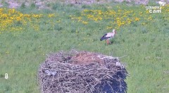 IMG_9658.jpeg