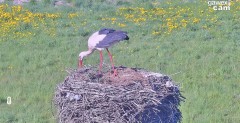 IMG_9670.jpeg