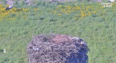 IMG_9679.jpeg