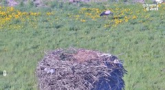 IMG_9681.jpeg