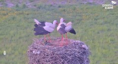 IMG_9755.jpeg