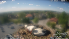 palowice-2025-04-26-7.png
