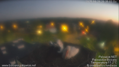 palowice-2025-04-26-9.png