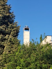 palowice-2025-04-26-dol.jpeg
