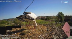 IMG_9488.jpeg