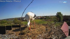 IMG_9491.jpeg