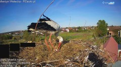 IMG_9683.jpeg