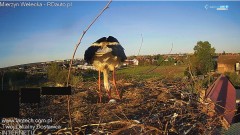 IMG_9707.jpeg