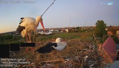 IMG_9766.jpeg