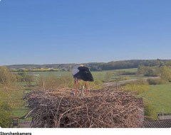 bandicam 2025-04-27 13-37-53-196.jpg