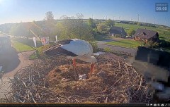 bandicam 2025-04-27 13-52-13-834.jpg