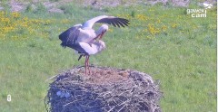 IMG_9832.jpeg