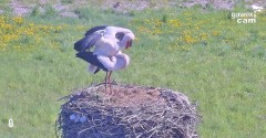 IMG_9833.jpeg