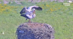IMG_9834.jpeg