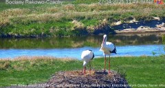 IMG_9873.jpeg