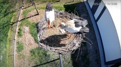 IMG_0005.jpeg