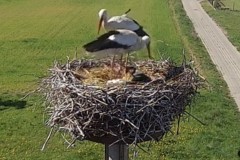IMG_0017.jpeg