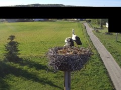 IMG_0026.jpeg