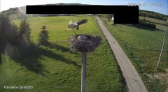 IMG_0028.jpeg