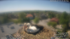 palowice-2025-04-27.png