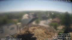 palowice-2025-04-27-2.png