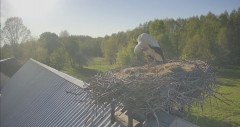 IMG_0012.jpeg