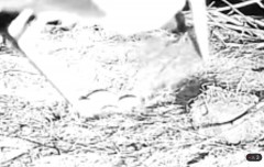 IMG_0073.jpeg