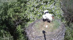IMG_0035.jpeg