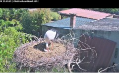 bandicam 2025-04-28 11-54-15-485.jpg