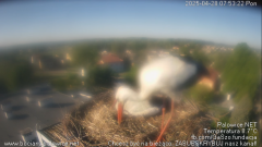 palowice-2025-04-28-3.png