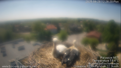 palowice-2025-04-28-4.png
