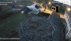 IMG_7706.jpeg