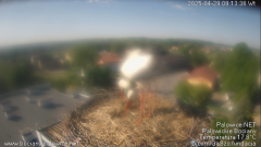 palowice-2025-04-29.png