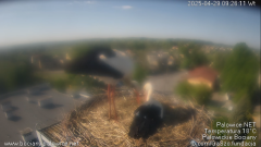 palowice-2025-04-29-2.png