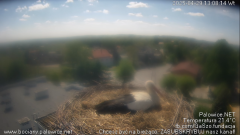 palowice-2025-04-29-3.png