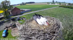 2025-04-29 20_43_07-Bocian Gierłachowo 2025 - YouTube - Maxthon.png