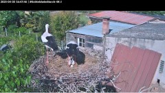 bandicam 2025-04-30 16-48-19-227.jpg
