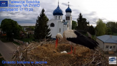 2025-04-30 20_29_15-Gniazdo Bocianie - Telewizja Sokółka [NA ŻYWO] _ IP Camera_ Stork's nest [LIVE] .png