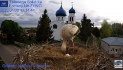 2025-04-30 20_29_38-Gniazdo Bocianie - Telewizja Sokółka [NA ŻYWO] _ IP Camera_ Stork's nest [LIVE] .png