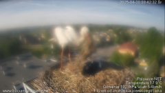 palowice-2025-04-30.png