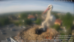palowice-2025-04-30-2.png