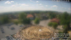 palowice-2025-04-30-3.png