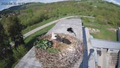 2025-04-30 22_13_57-[stimotion.pl] Bociany w Rzepedzi - YouTube – Brave.png