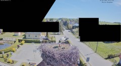 IMG_0552.jpeg