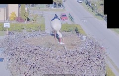 IMG_0671.jpeg
