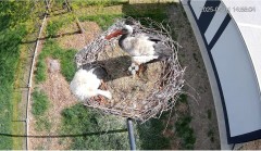 IMG_0691.jpeg